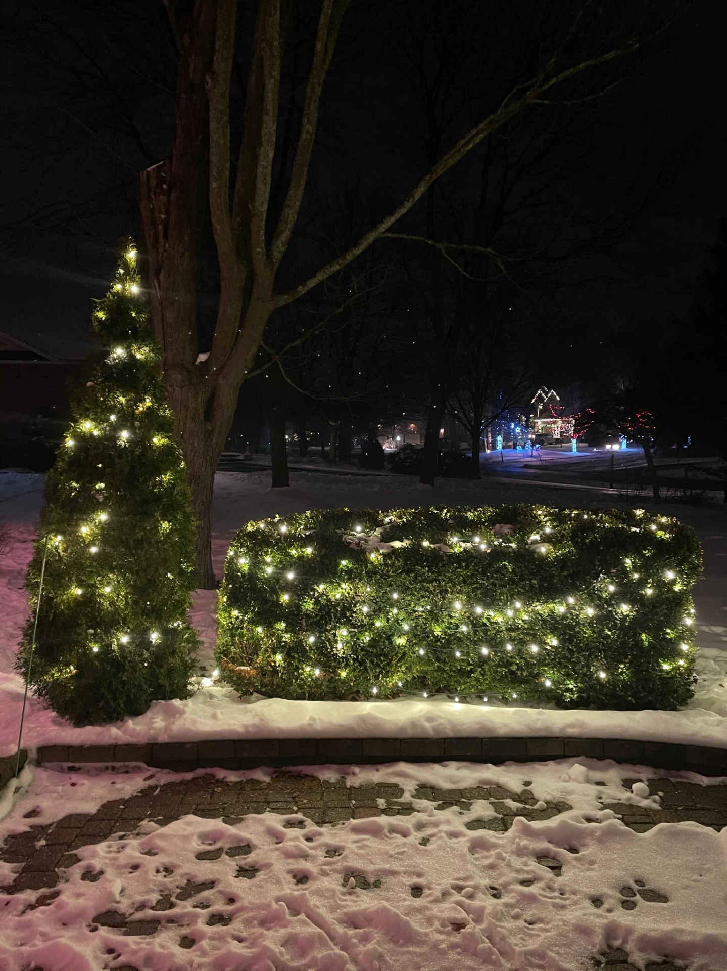 Hedge and evergreen lighting along a stone retaining wall